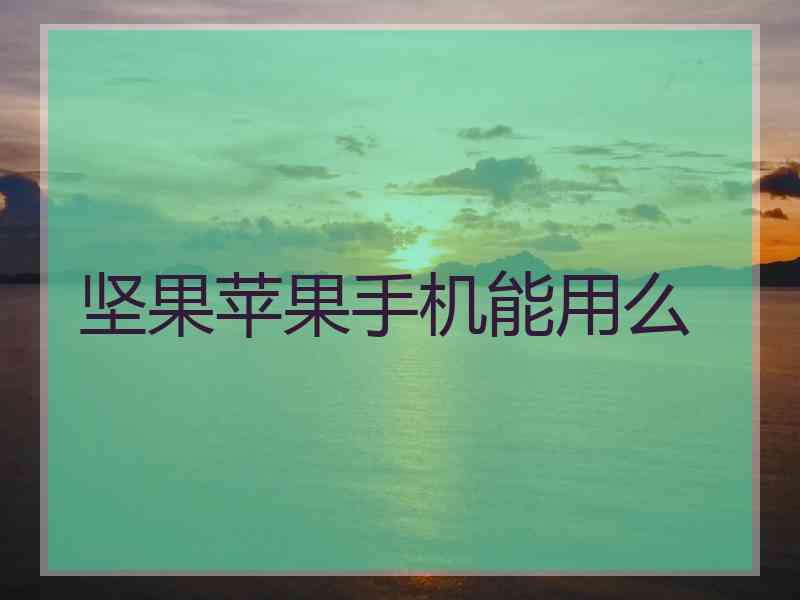 坚果苹果手机能用么