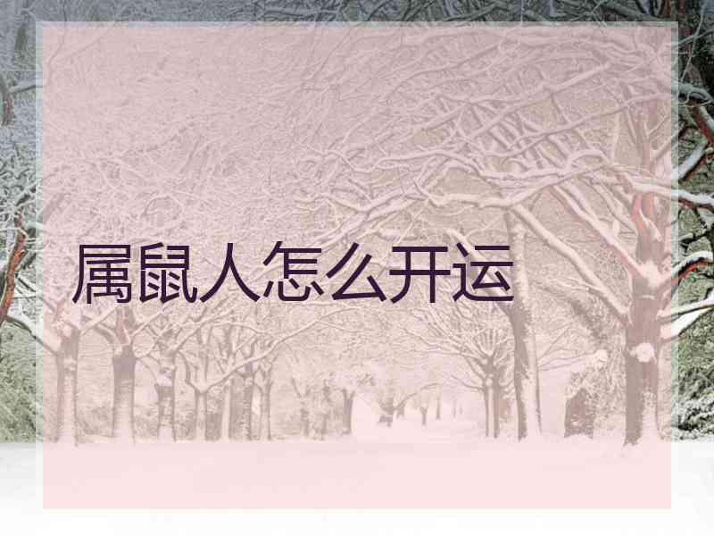 属鼠人怎么开运