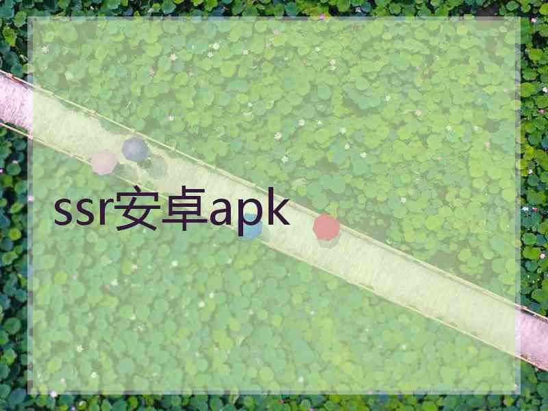 ssr安卓apk