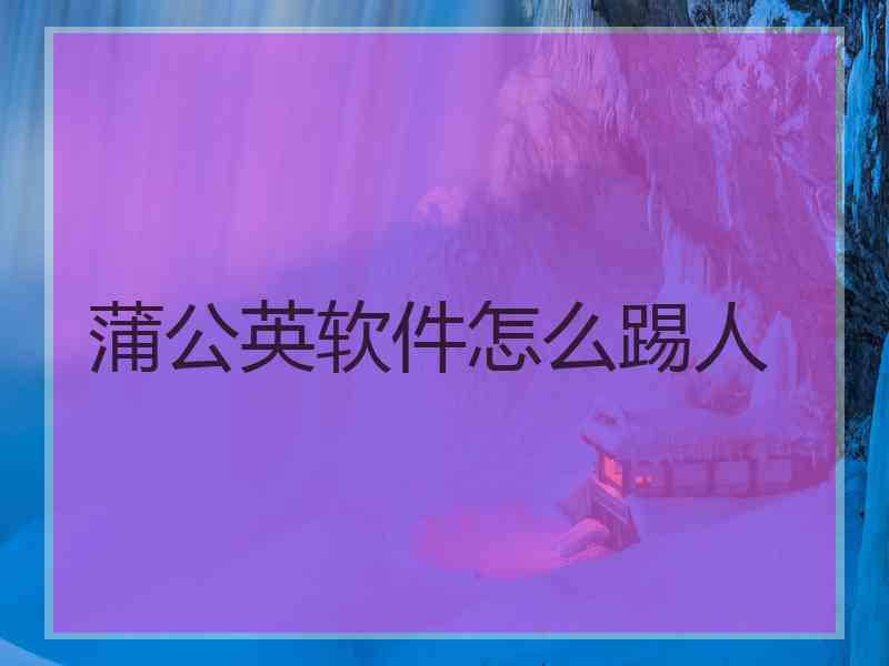 蒲公英软件怎么踢人
