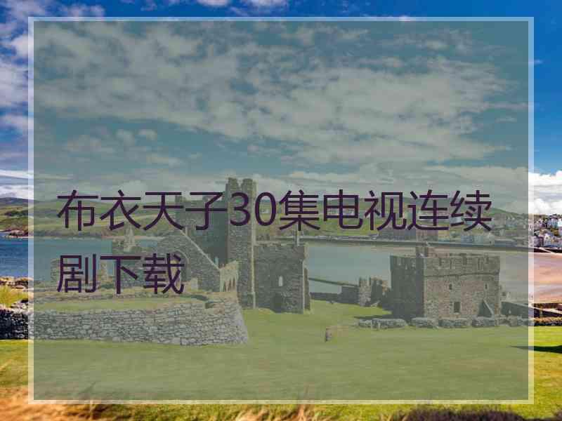 布衣天子30集电视连续剧下载