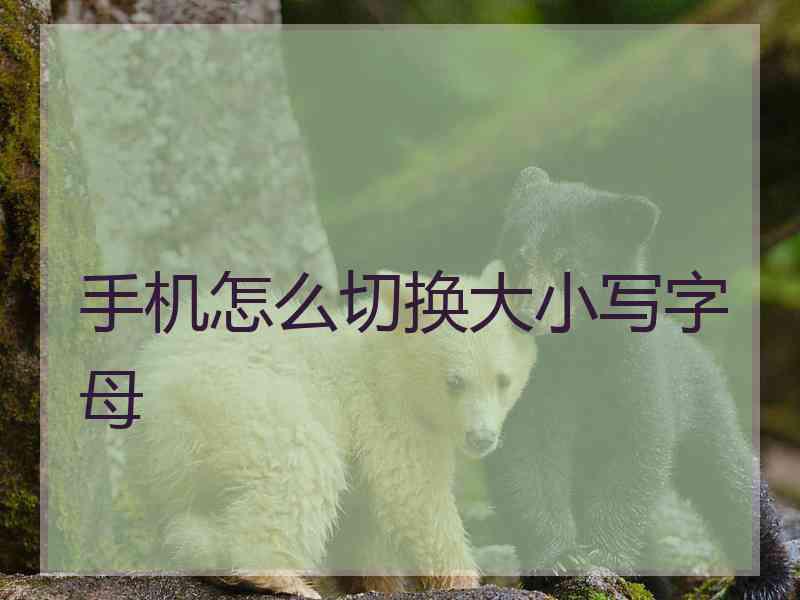 手机怎么切换大小写字母