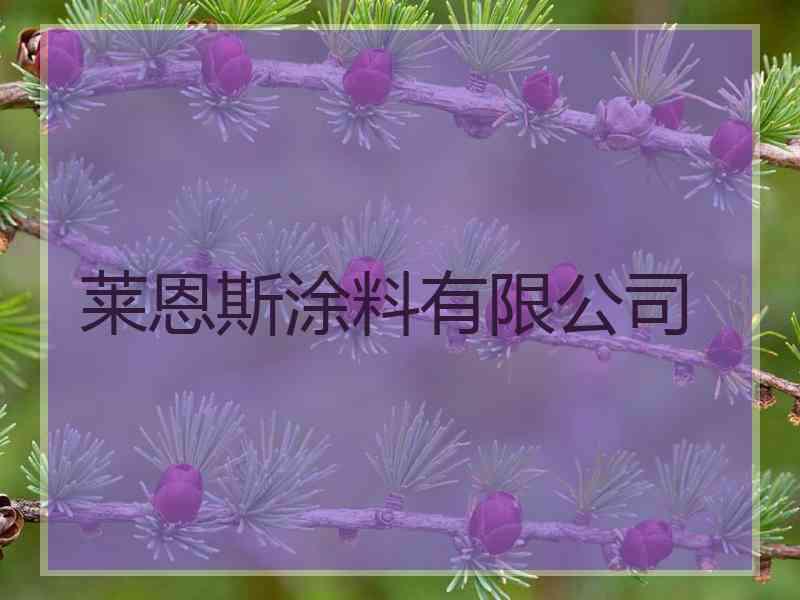 莱恩斯涂料有限公司