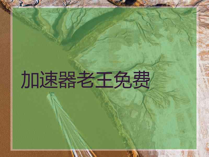 加速器老王免费