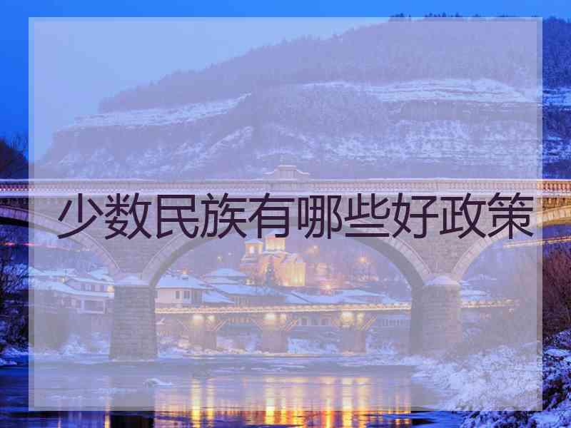 少数民族有哪些好政策