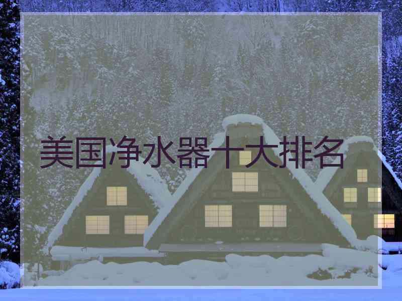 美国净水器十大排名