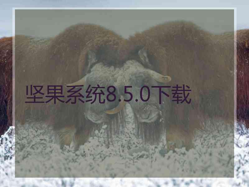 坚果系统8.5.0下载
