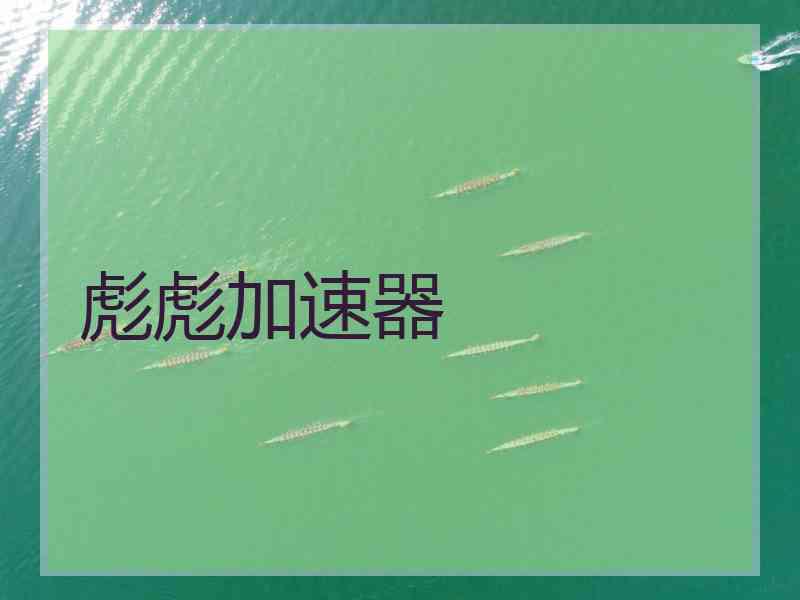 彪彪加速器
