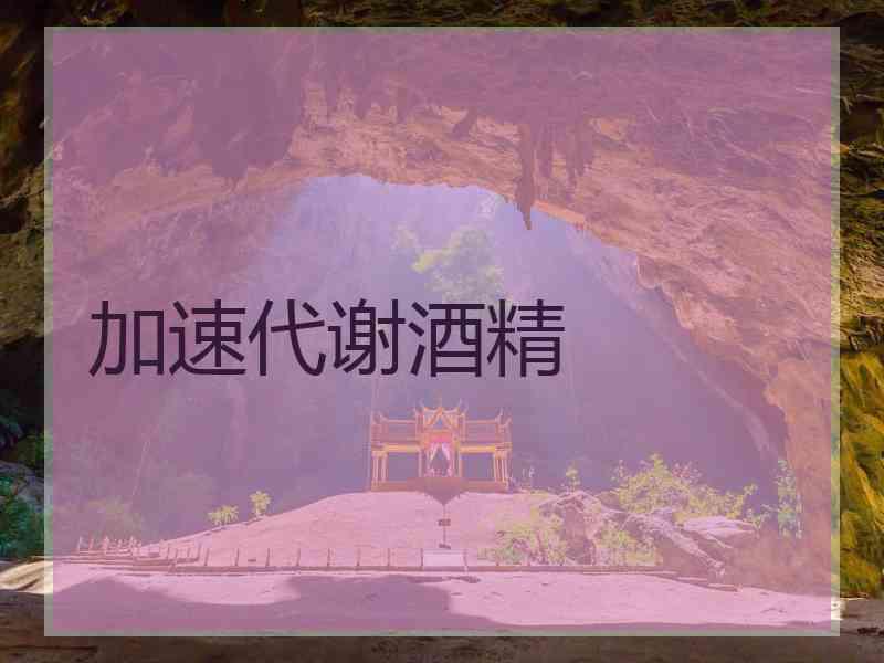 加速代谢酒精