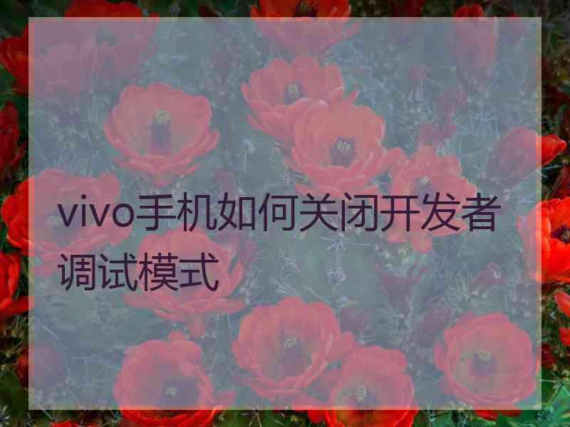 vivo手机如何关闭开发者调试模式
