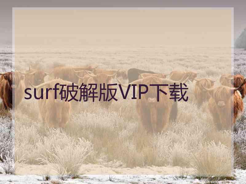 surf破解版VIP下载