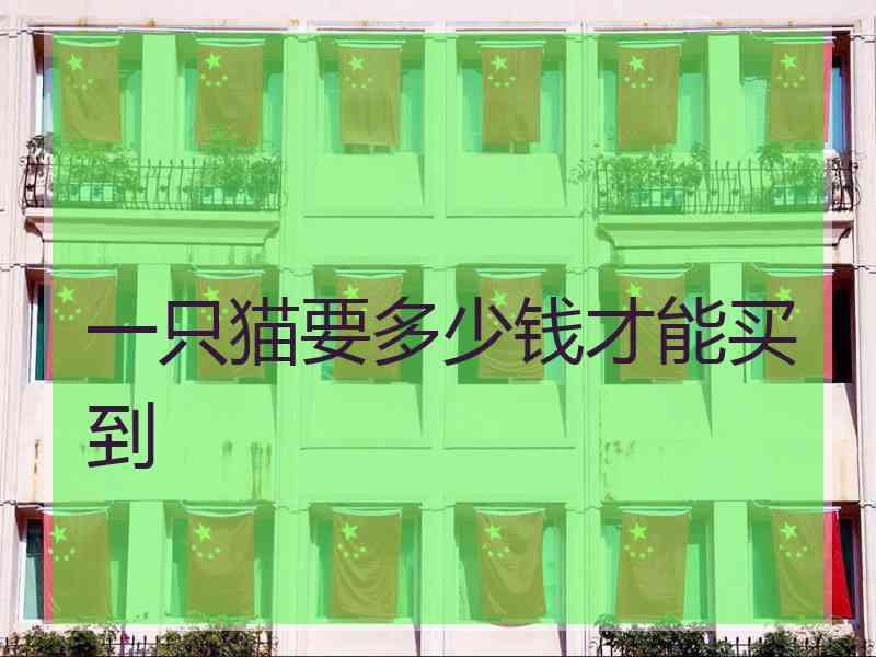 一只猫要多少钱才能买到