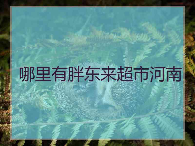 哪里有胖东来超市河南