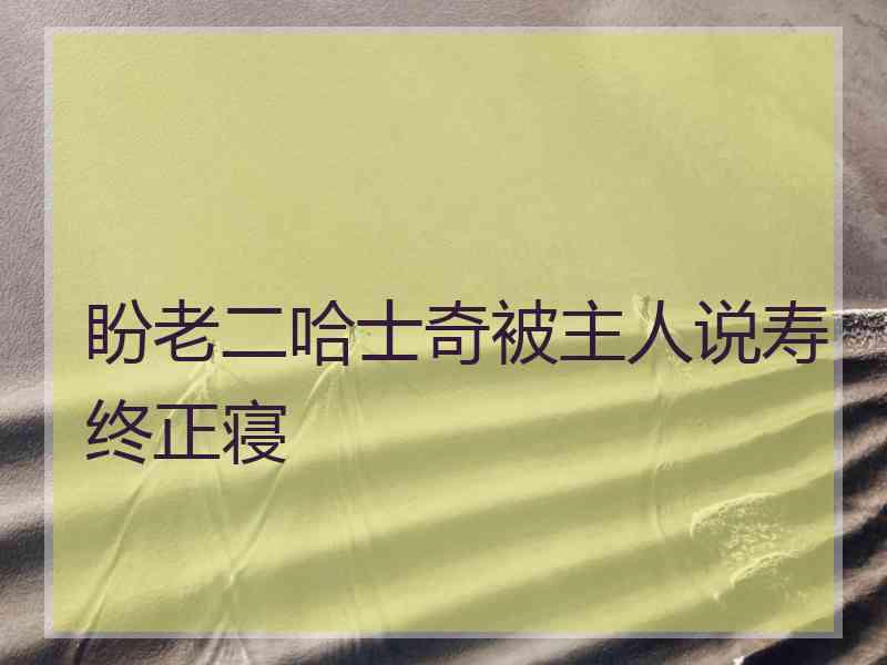 盼老二哈士奇被主人说寿终正寝