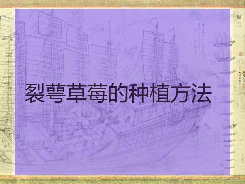 裂萼草莓的种植方法