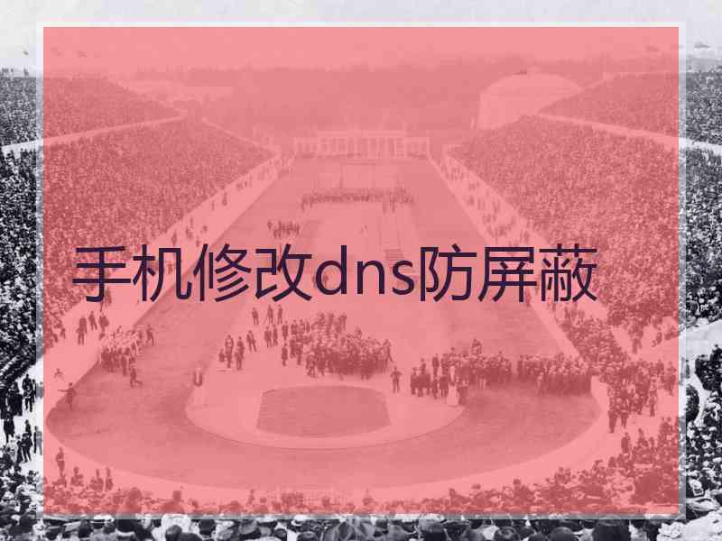手机修改dns防屏蔽