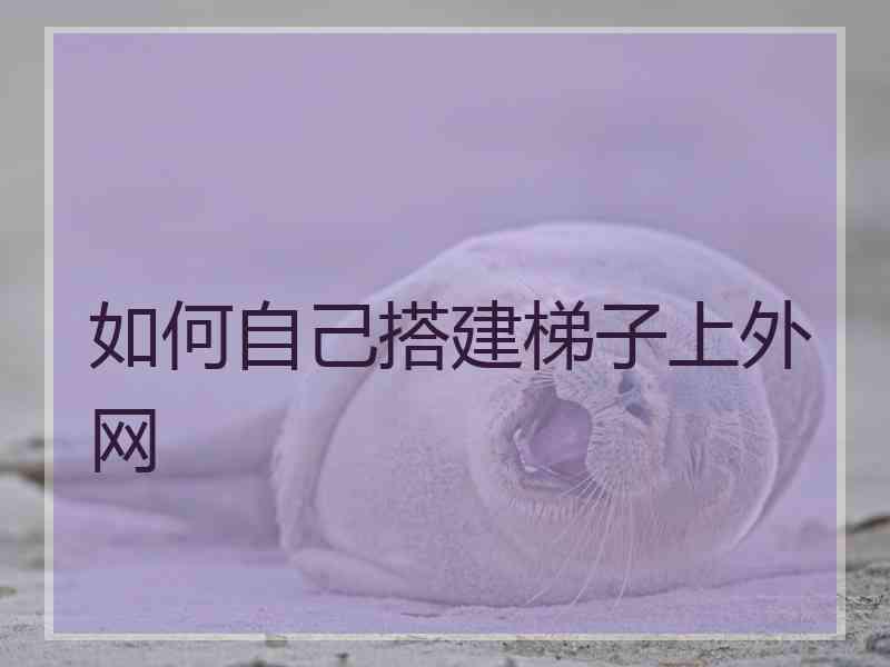 如何自己搭建梯子上外网