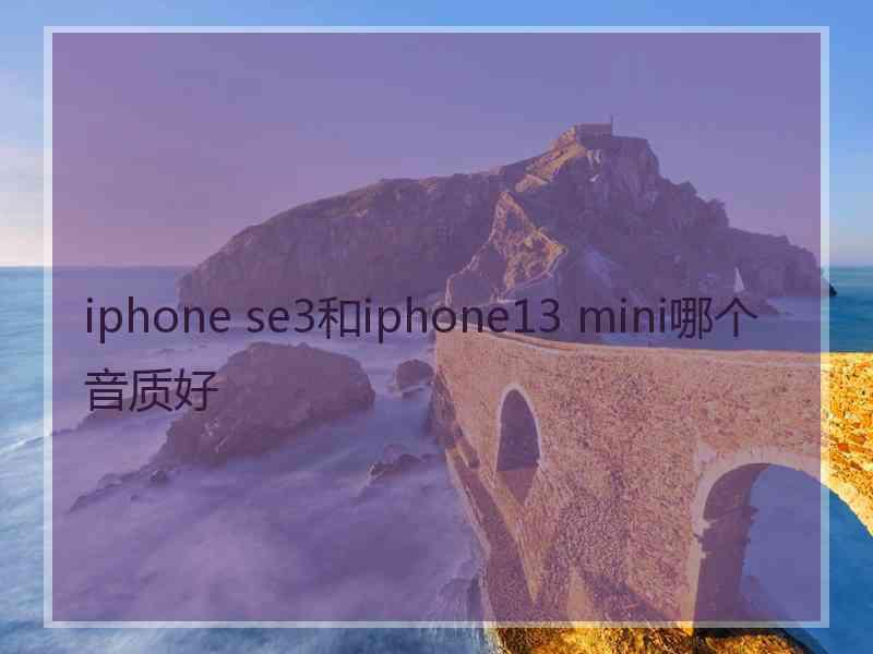 iphone se3和iphone13 mini哪个音质好