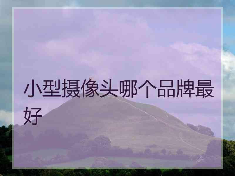 小型摄像头哪个品牌最好