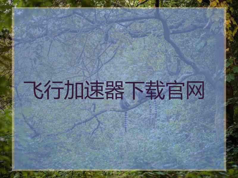 飞行加速器下载官网