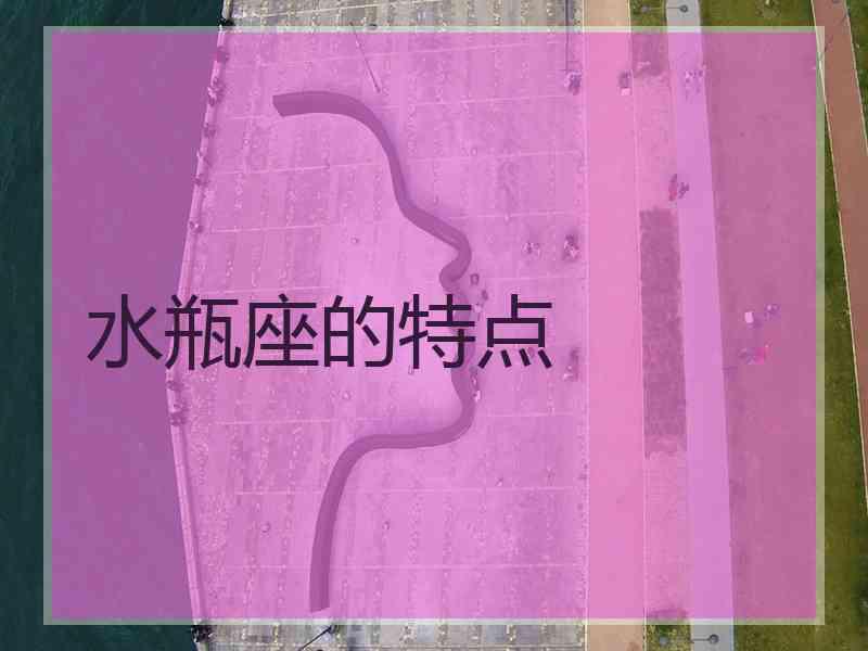 水瓶座的特点