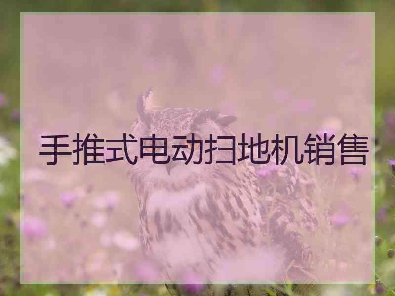 手推式电动扫地机销售