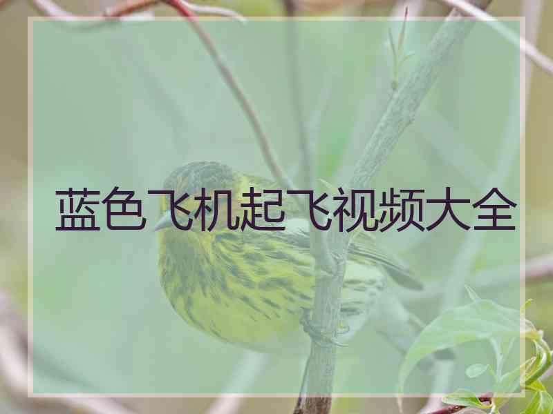 蓝色飞机起飞视频大全