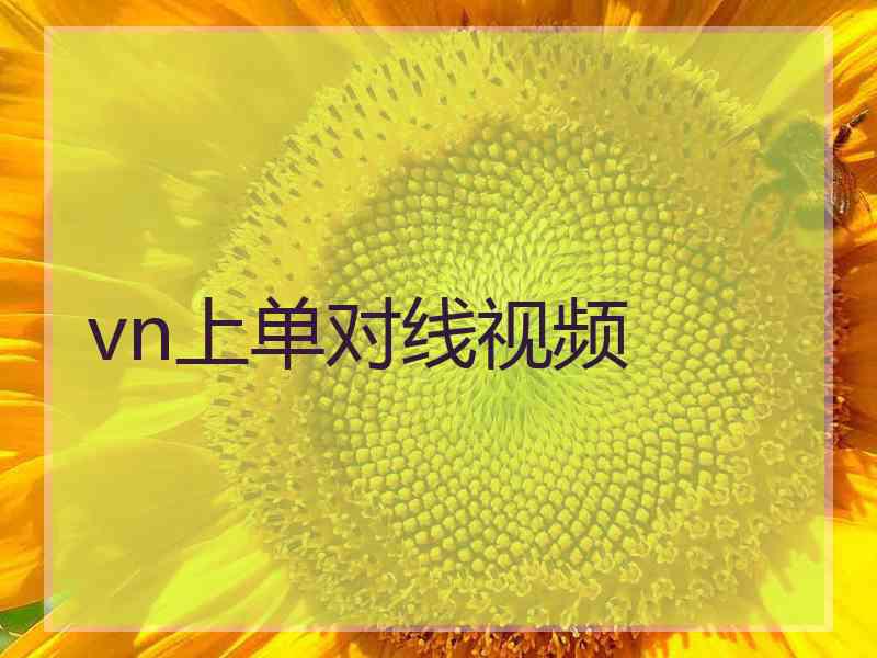 vn上单对线视频