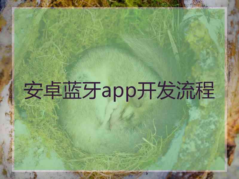 安卓蓝牙app开发流程