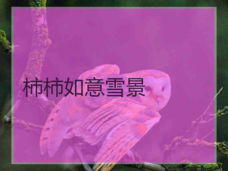柿柿如意雪景