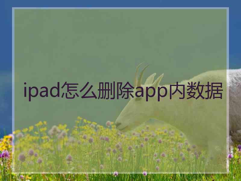 ipad怎么删除app内数据