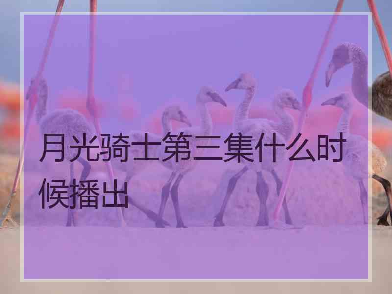 月光骑士第三集什么时候播出