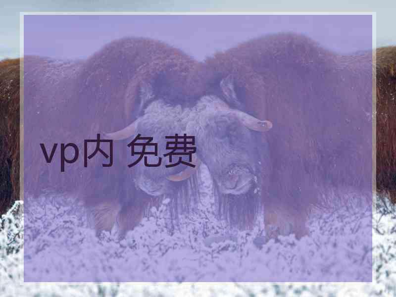 vp内 免费