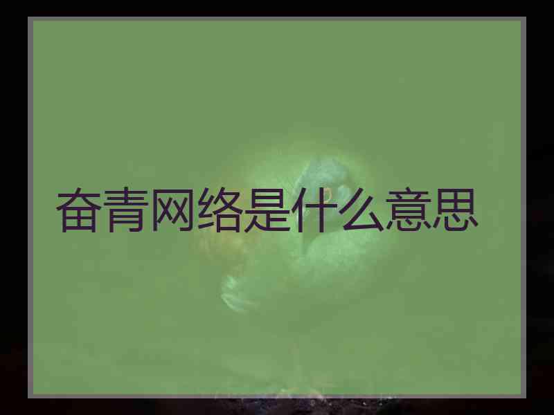 奋青网络是什么意思