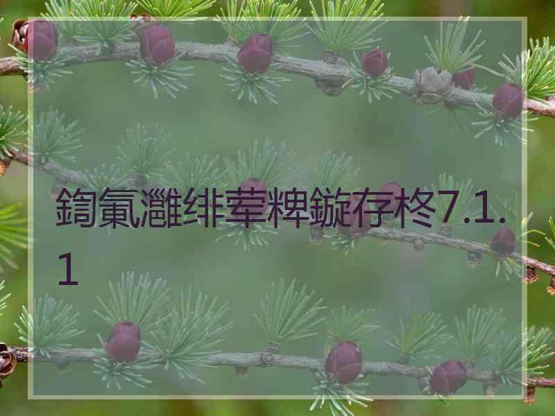 鍧氭灉绯荤粺鏇存柊7.1.1