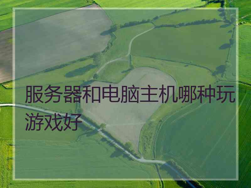 服务器和电脑主机哪种玩游戏好