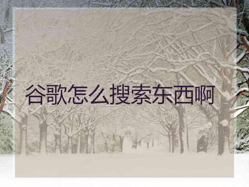 谷歌怎么搜索东西啊