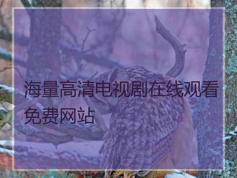 海量高清电视剧在线观看免费网站