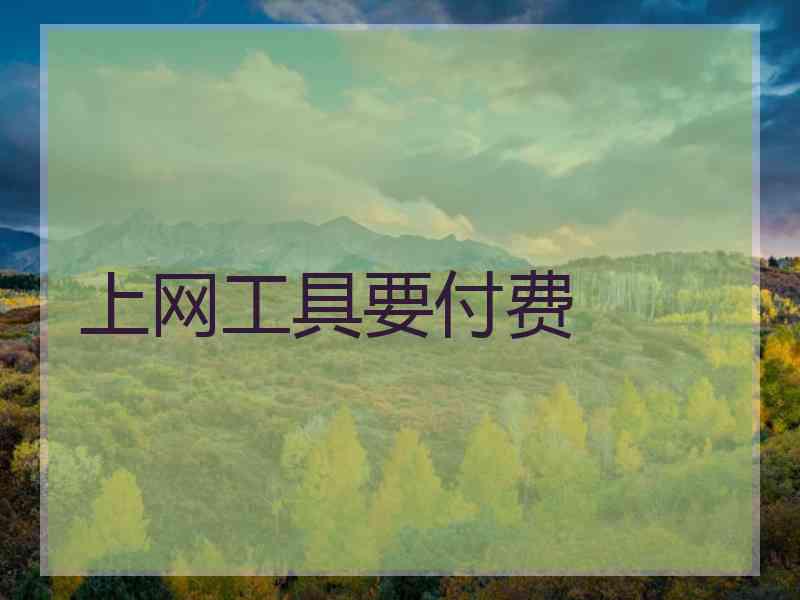 上网工具要付费