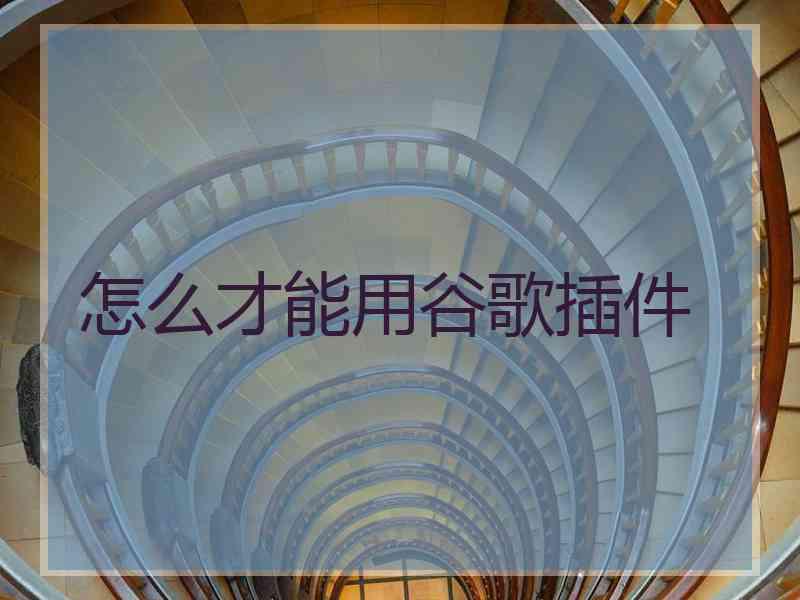 怎么才能用谷歌插件