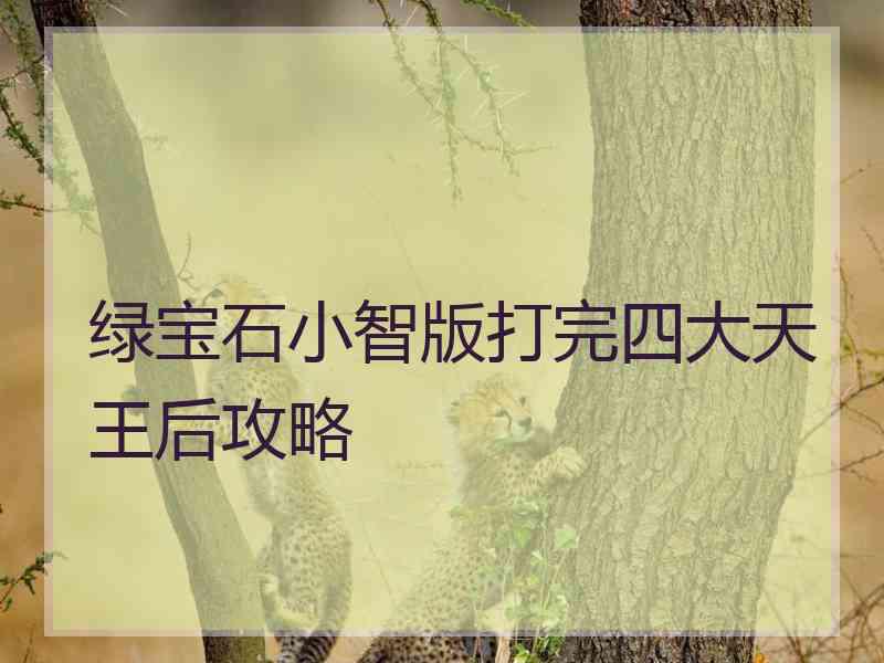 绿宝石小智版打完四大天王后攻略