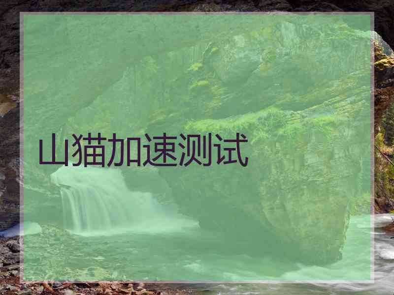 山猫加速测试