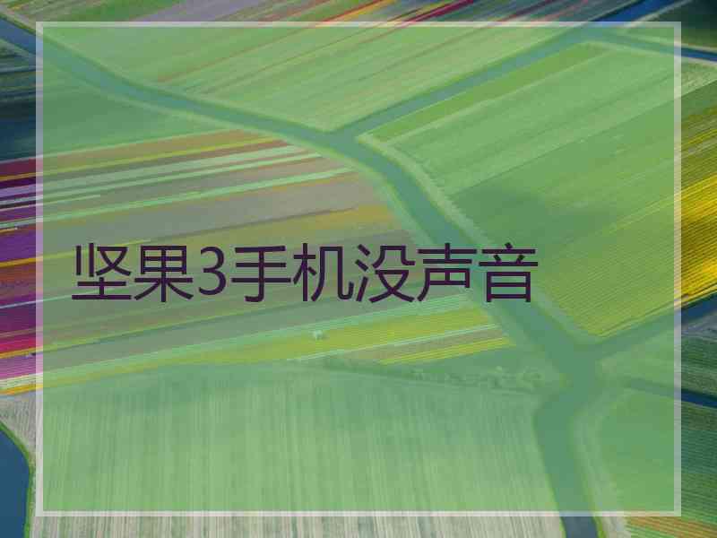 坚果3手机没声音