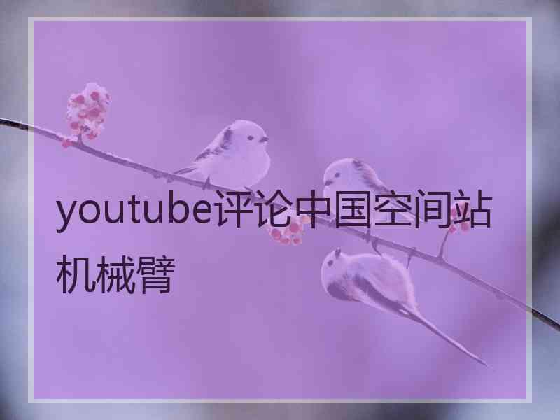 youtube评论中国空间站机械臂