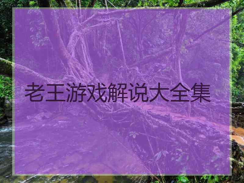 老王游戏解说大全集