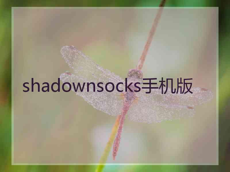 shadownsocks手机版