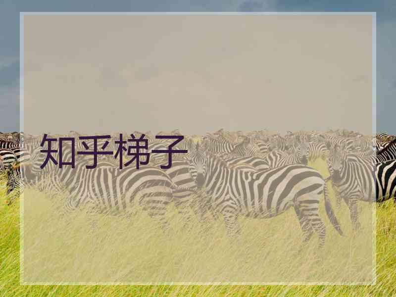 知乎梯子