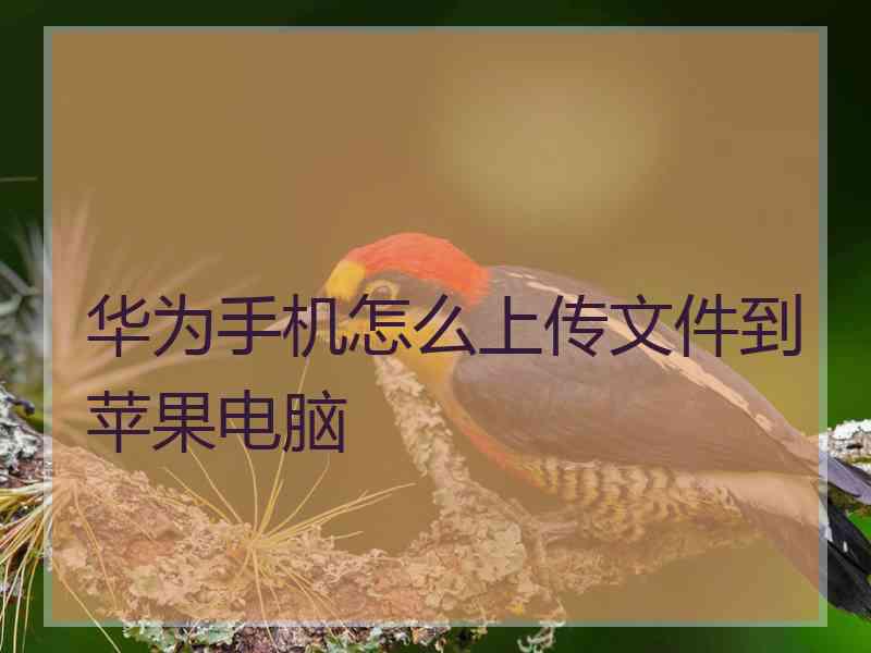 华为手机怎么上传文件到苹果电脑