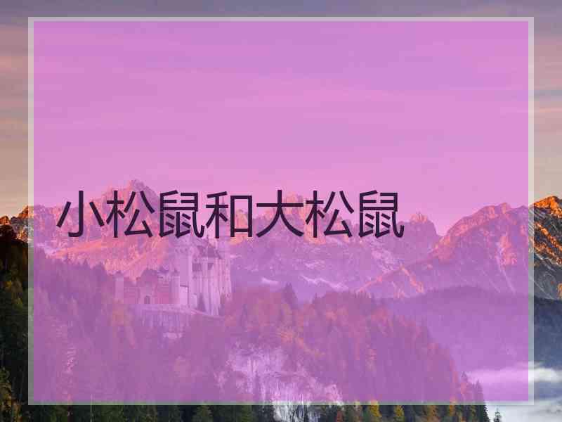 小松鼠和大松鼠