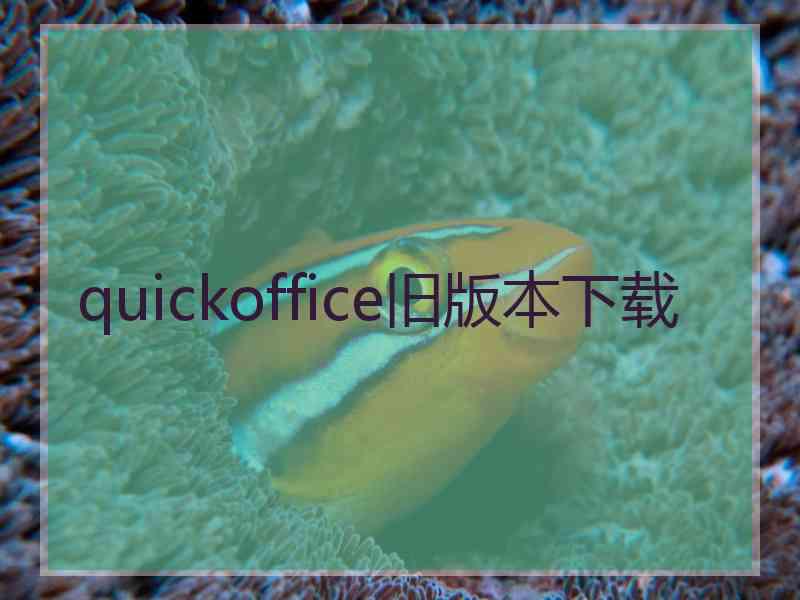quickoffice旧版本下载